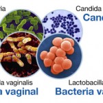 ES_germs-feminiehygieneunit2